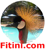 Fitini.com Logo
